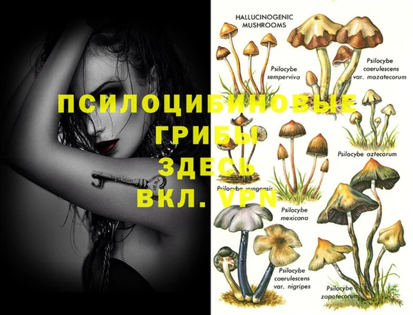 амфетамин Сясьстрой