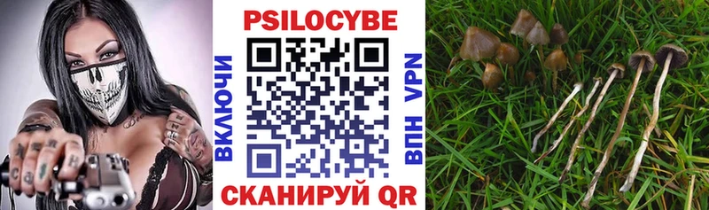 Псилоцибиновые грибы мухоморы  купить наркотики сайты  Чухлома 